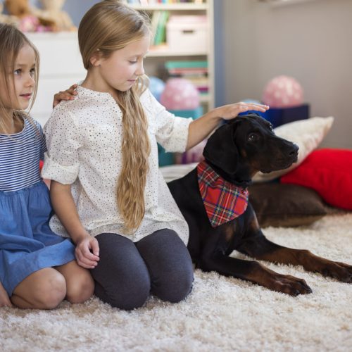Girls and dog sitting in a row